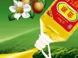 �ɹ�����