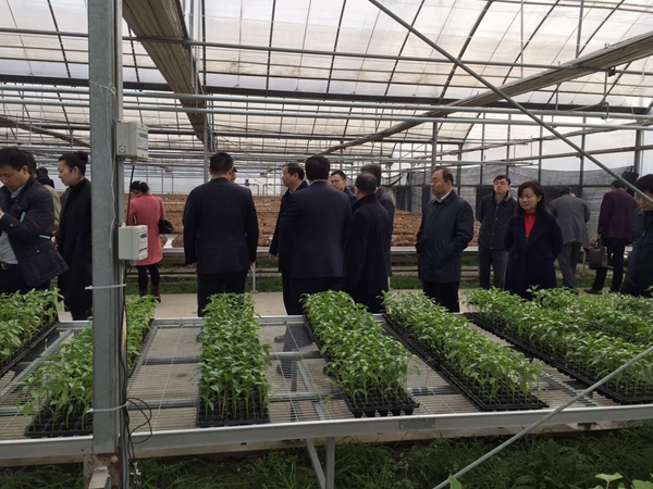 ��Դ���糡