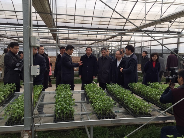 ũҵר�ҡ����ƻ���������߲˴���