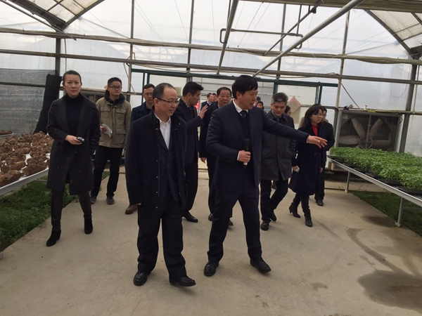 ������+ũҵ:����������ũҵ����������ģʽ