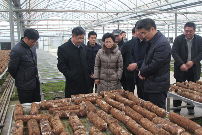 ʡ��Э����ϯ���������ҹ�˾����