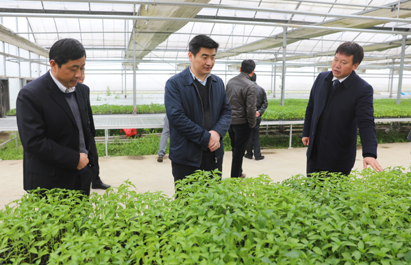 ���쵼��̨��԰�ֳ�������Ŀ���裨ͼ��