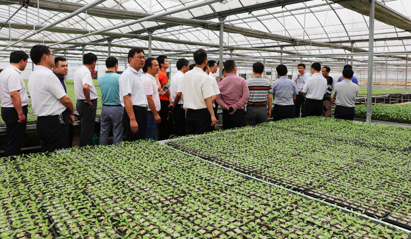 �����Ј������������������Ϳ��죨ͼ��