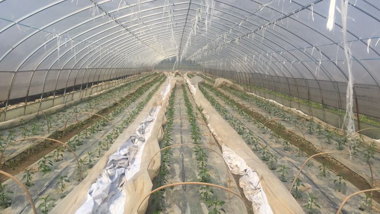 ��Դ���糡