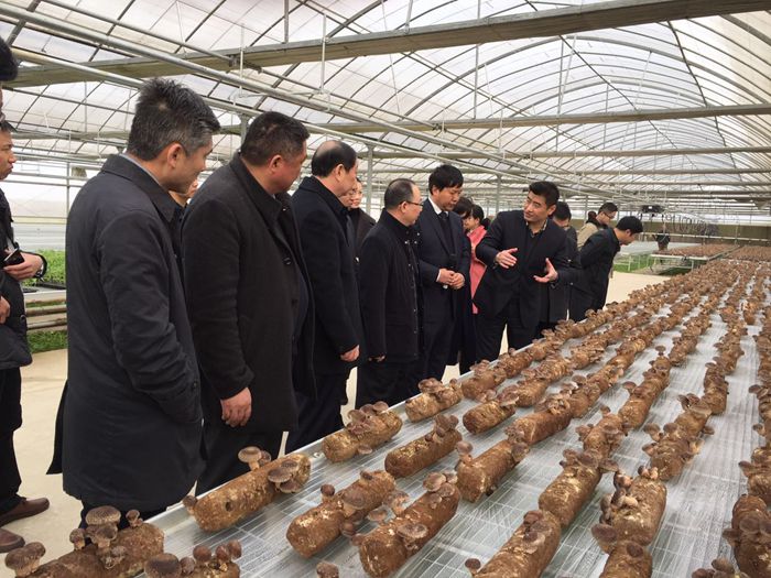 ��Դ���糡