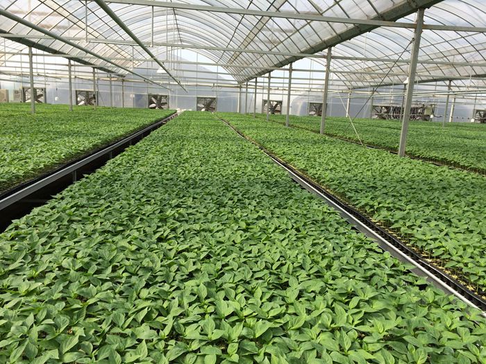 ��Դ���紲