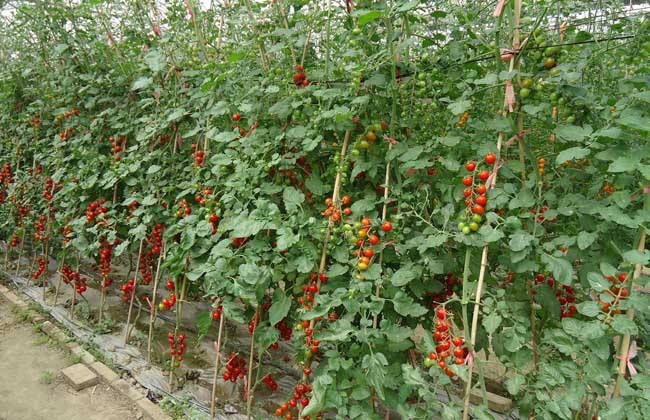 ��Դ������