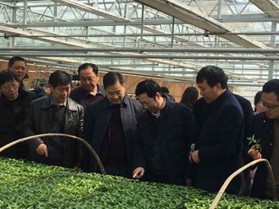 ����ʡ��ʩ�ϲ˼�Լ�����缼���ֳ�������˾��Ħ