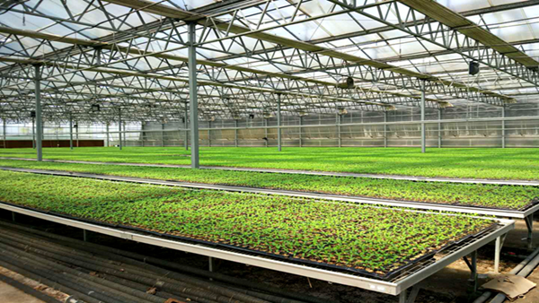 ʢ��ʱ������æ